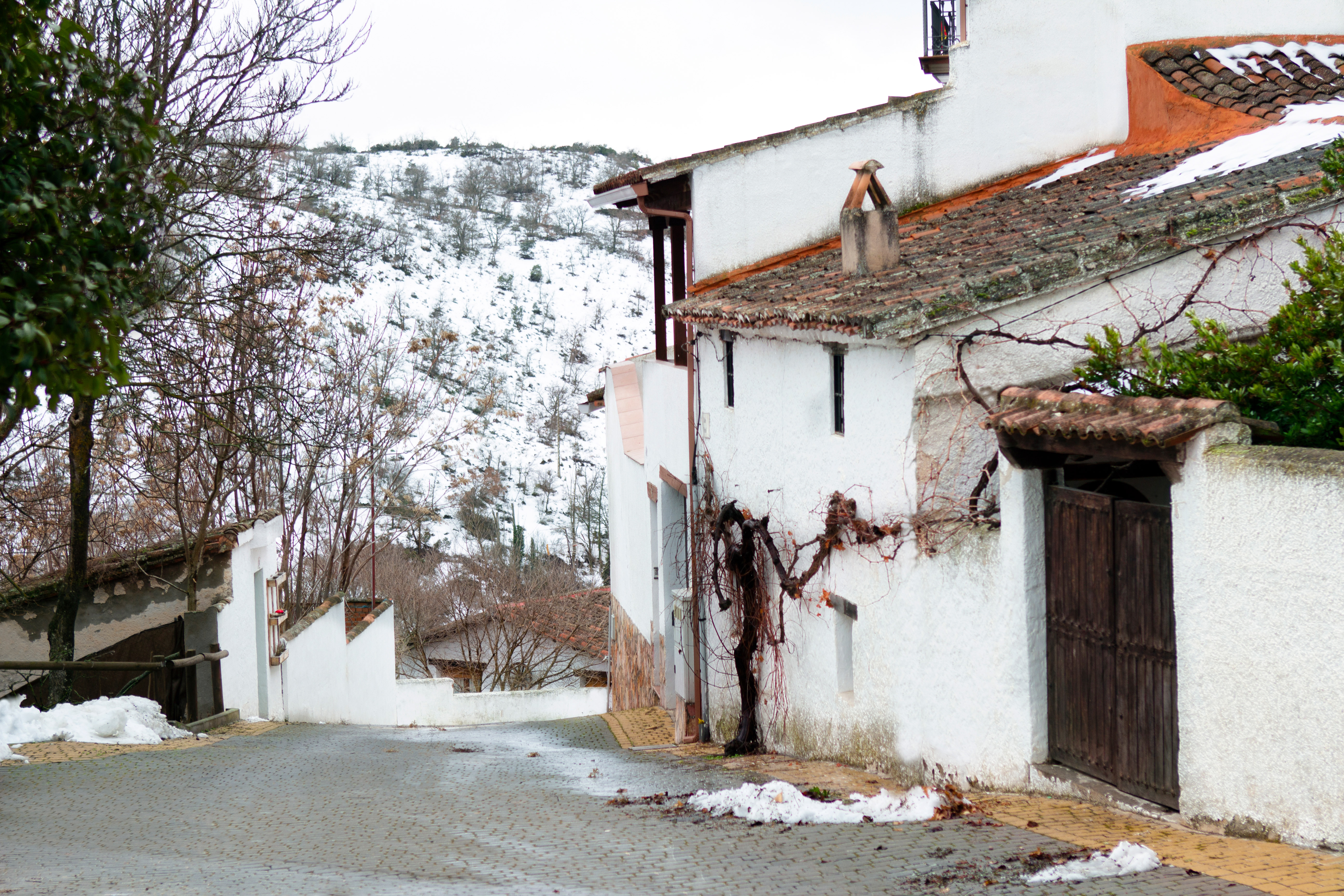 Calle Olmeda con nieve