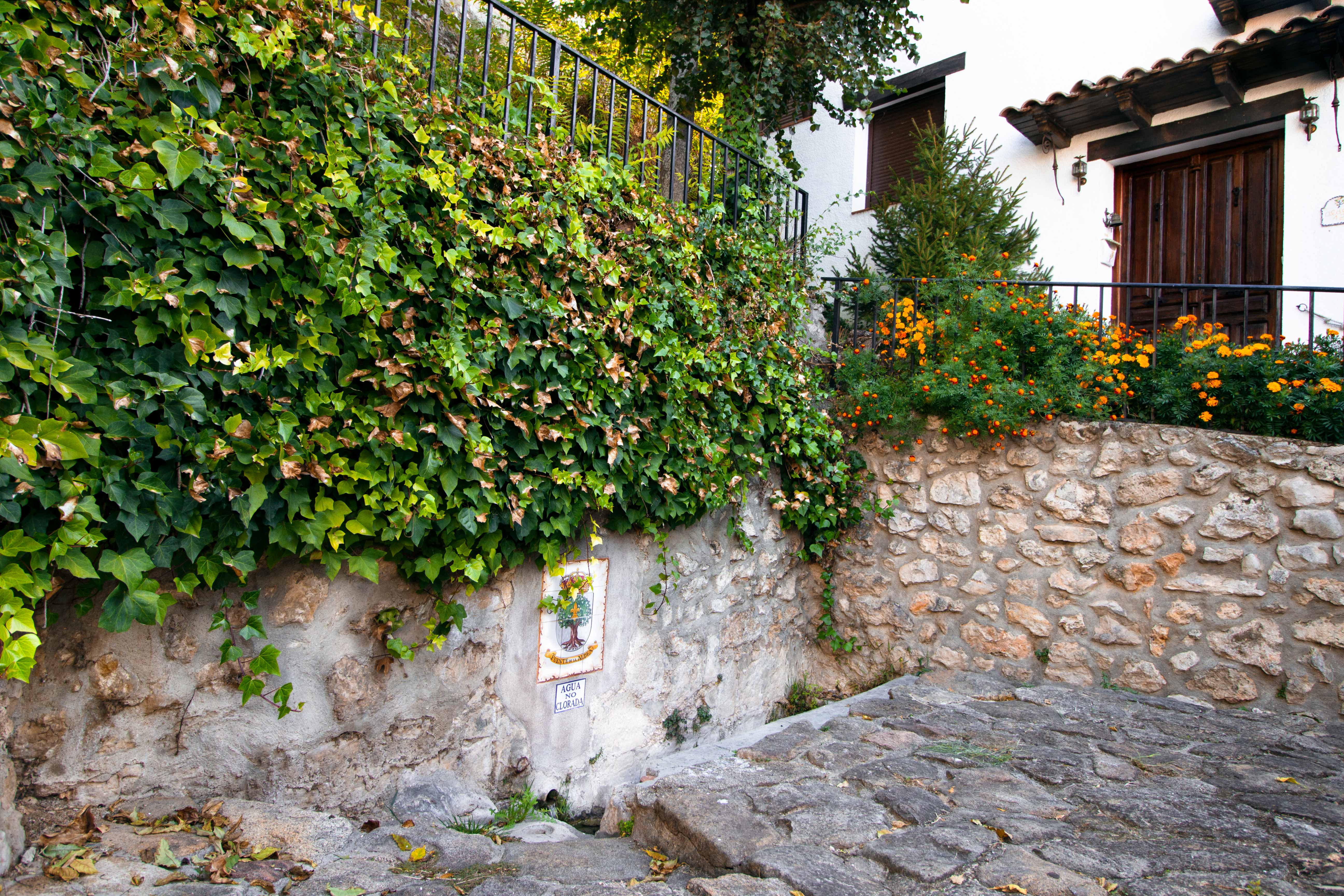 Fuente de la Aldea