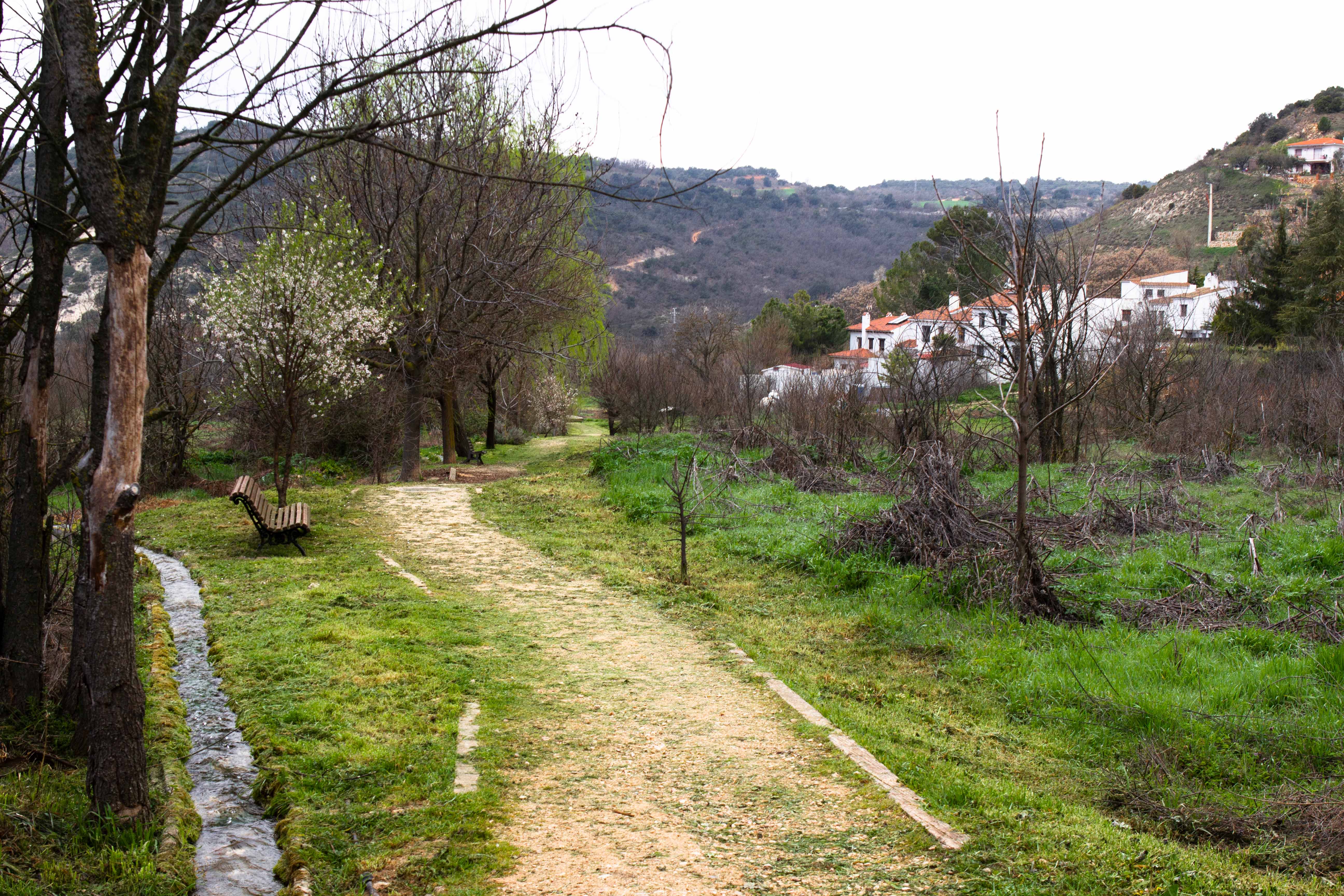 Camino-Huertas